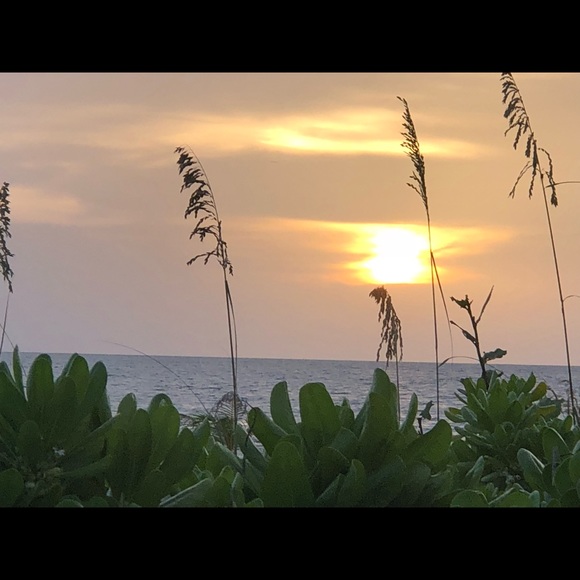 Meet your Posher, Cacaroline - Picture 1 of 1